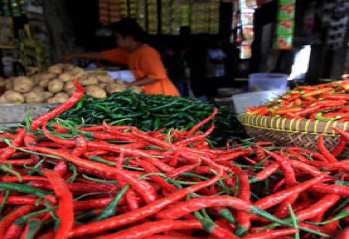 Harga Cabai Di Palu Kembali Naik Tajam